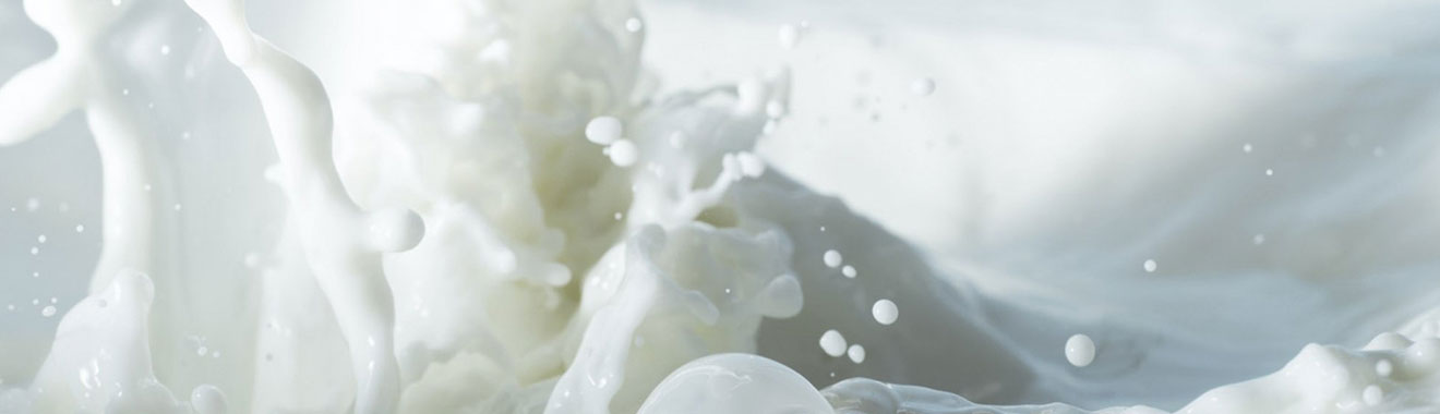 Produk susu
